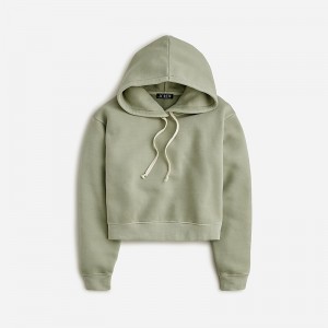 J.Crew Heritage fleece cropped hoodie Pale Surplus Online | 87QWTDHOX