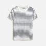 Paloma Stripe Ivory Eve