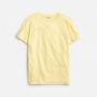 Fresh Lemon