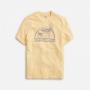 Yellow Plover Graphic